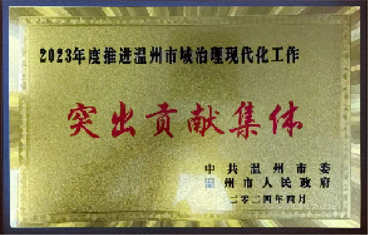 2023 年度推进温州市域治理现代化工作突出贡献集体