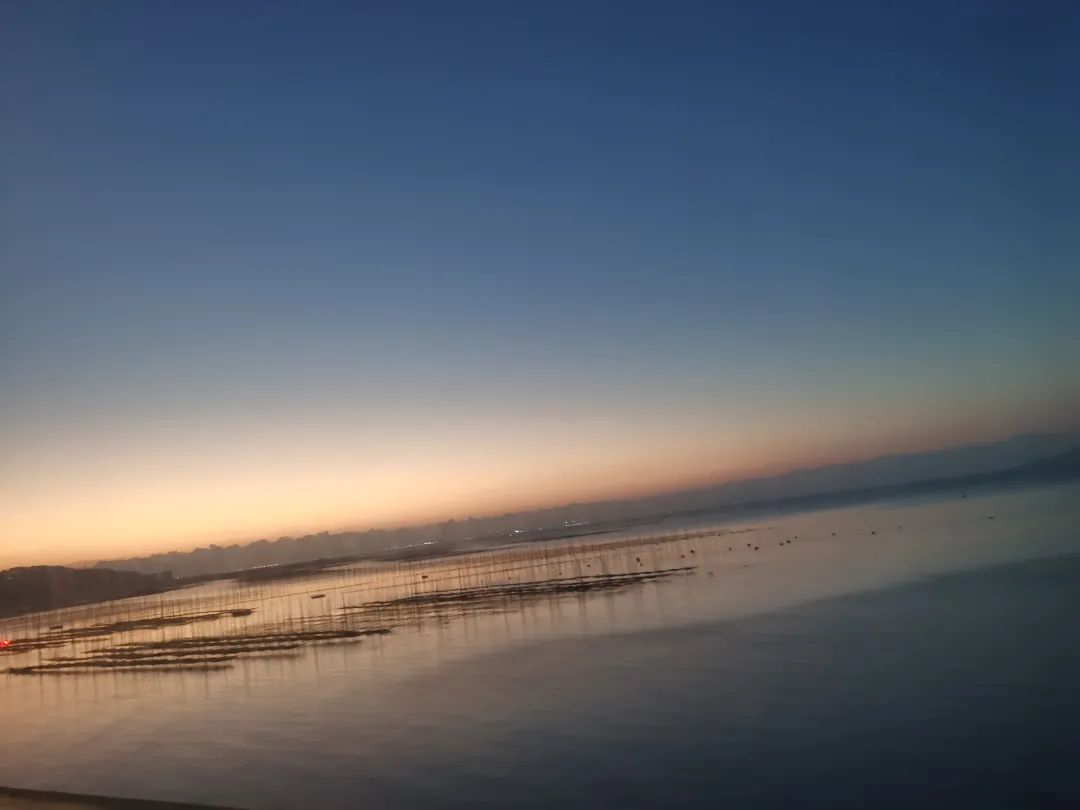 1665214359593881.png image.png